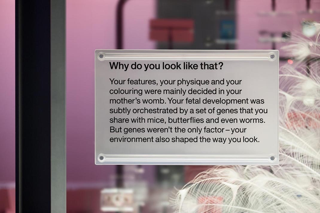 深圳展廳設(shè)計(jì) 科學(xué)博物館展廳設(shè)計(jì)