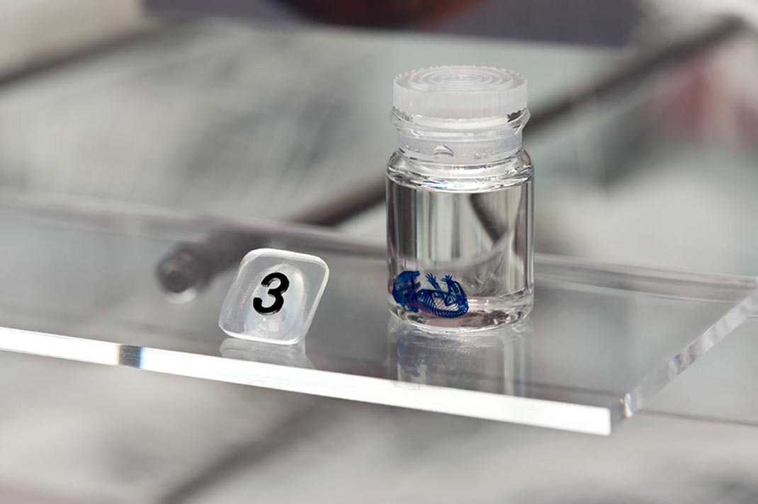 深圳展廳設(shè)計(jì) 科學(xué)博物館展廳設(shè)計(jì)