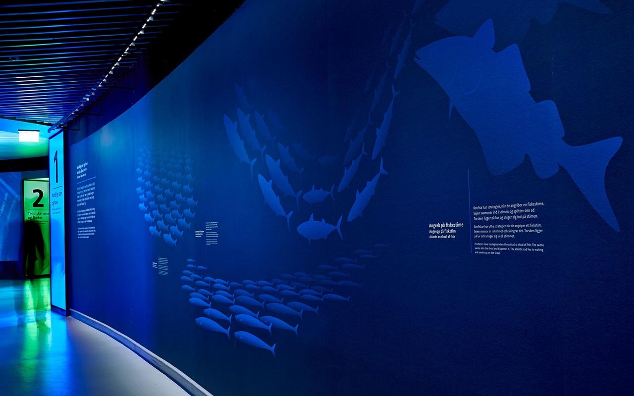 海洋館設(shè)計(jì)