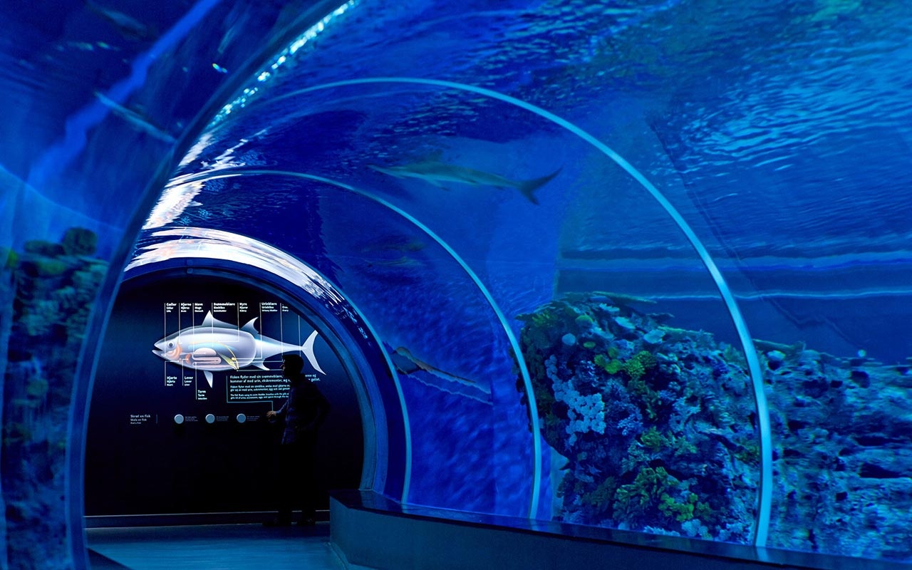 海洋館設(shè)計(jì)