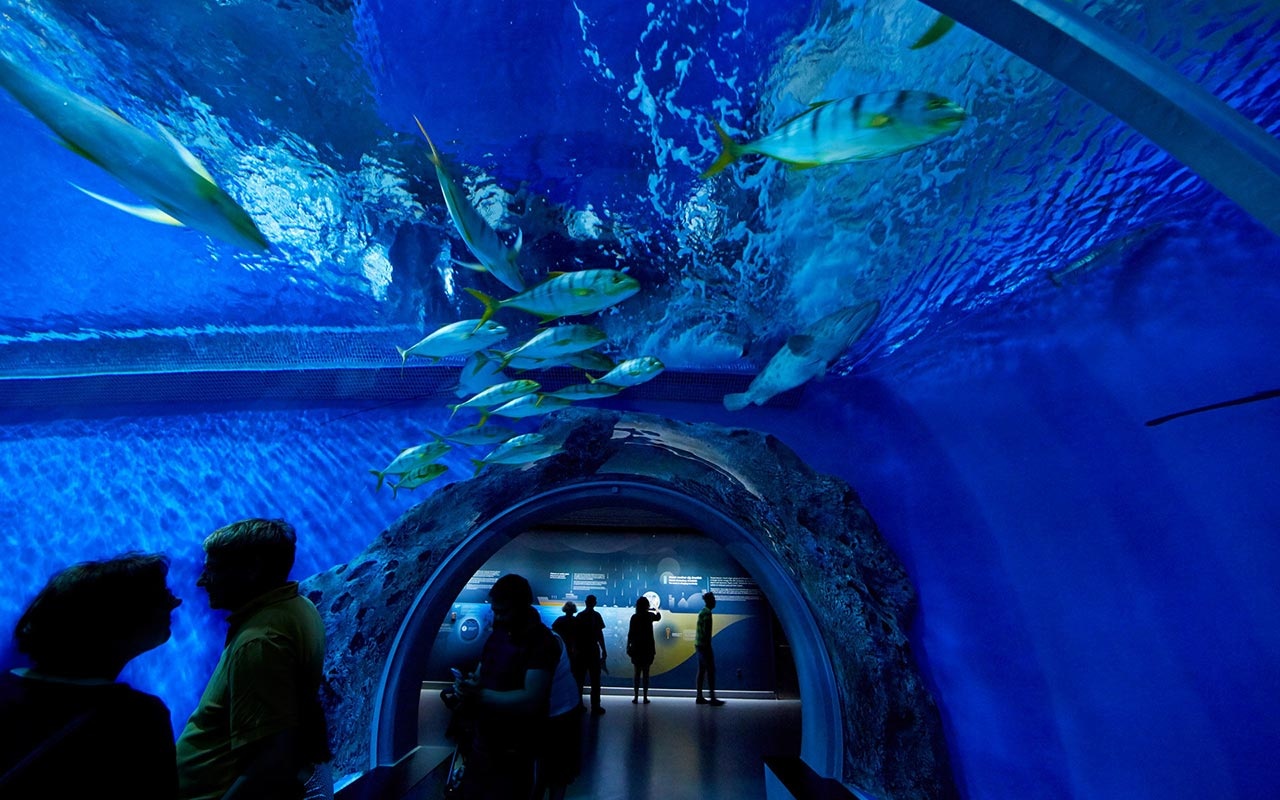 海洋館設(shè)計(jì)