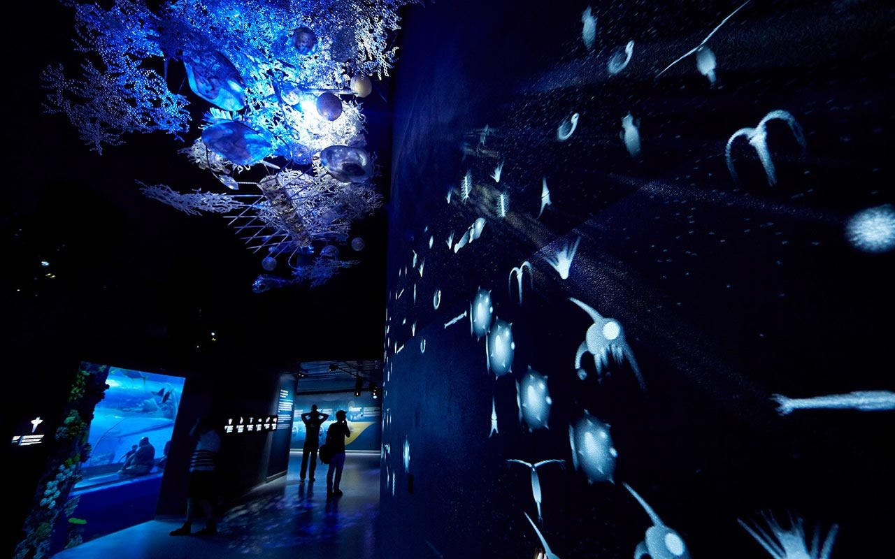 水族館設(shè)計(jì)