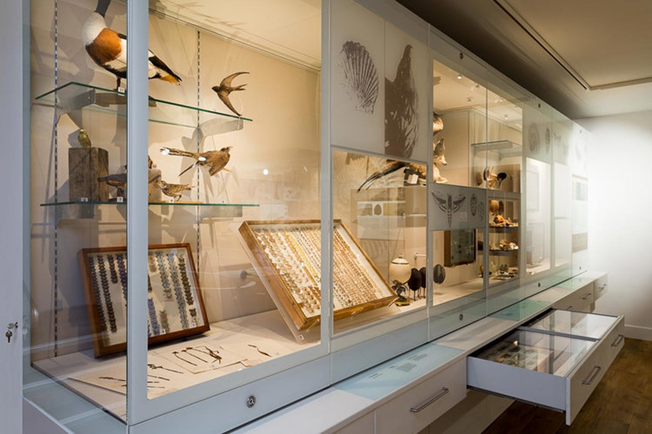 博物館設(shè)計(jì)