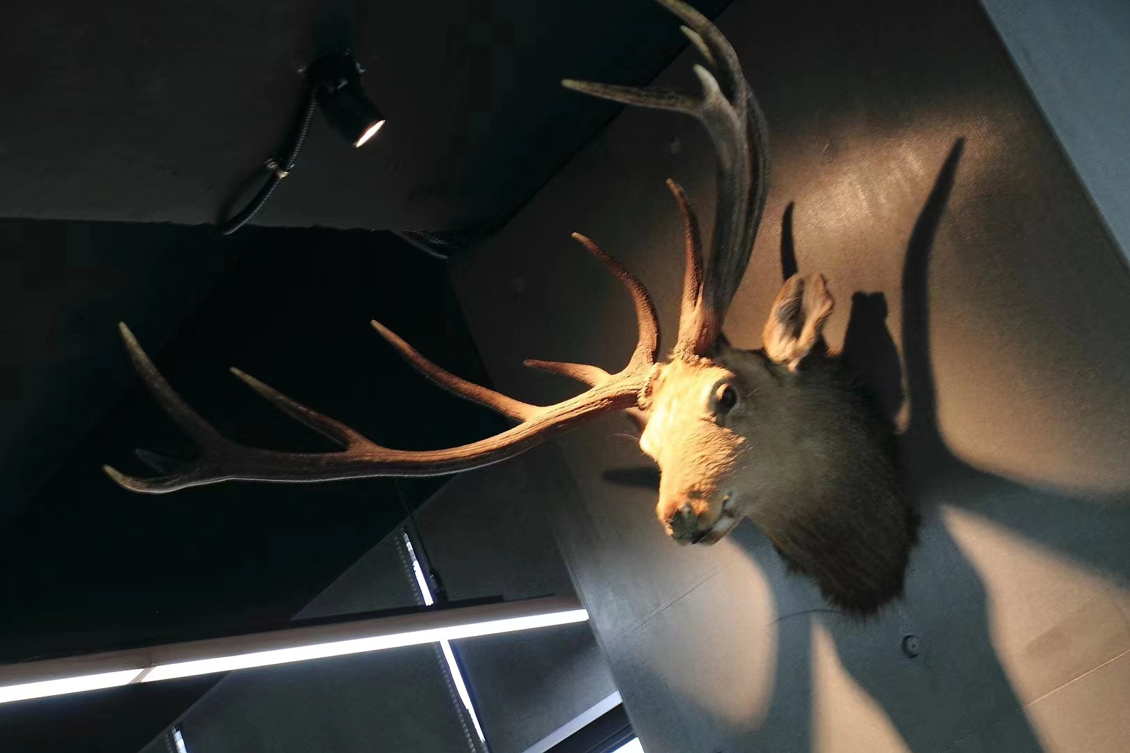 1658371346706743.png image.png